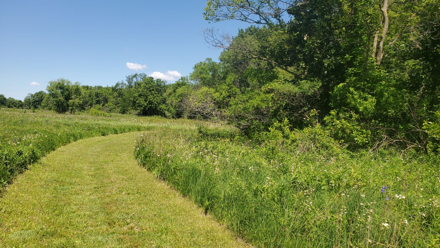 Oak Ridge Forest Preserve 